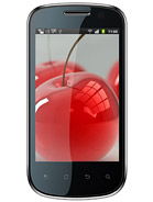 Best available price of Celkon A19 in Egypt