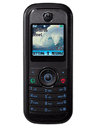 Best available price of Motorola W205 in Egypt