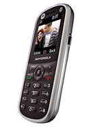 Best available price of Motorola WX288 in Egypt