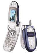Best available price of Motorola V560 in Egypt