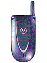 Best available price of Motorola V66i in Egypt