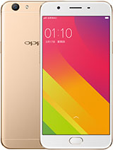 Best available price of Oppo A59 in Egypt